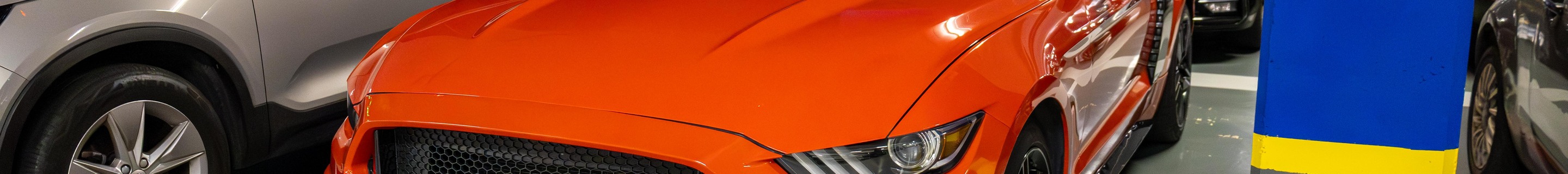 Ford Mustang GT 50th Anniversary Convertible