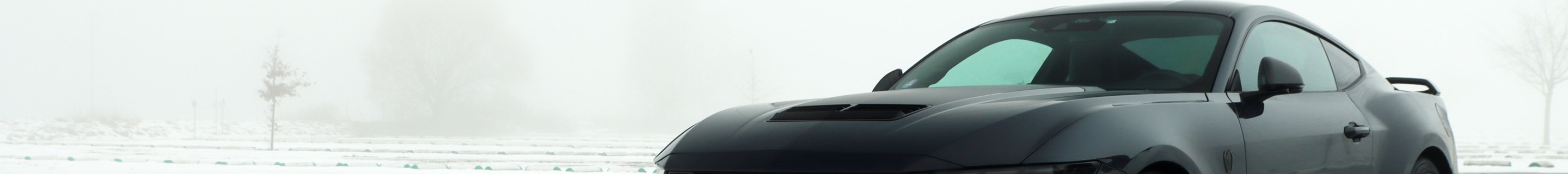Ford Mustang Dark Horse 2024