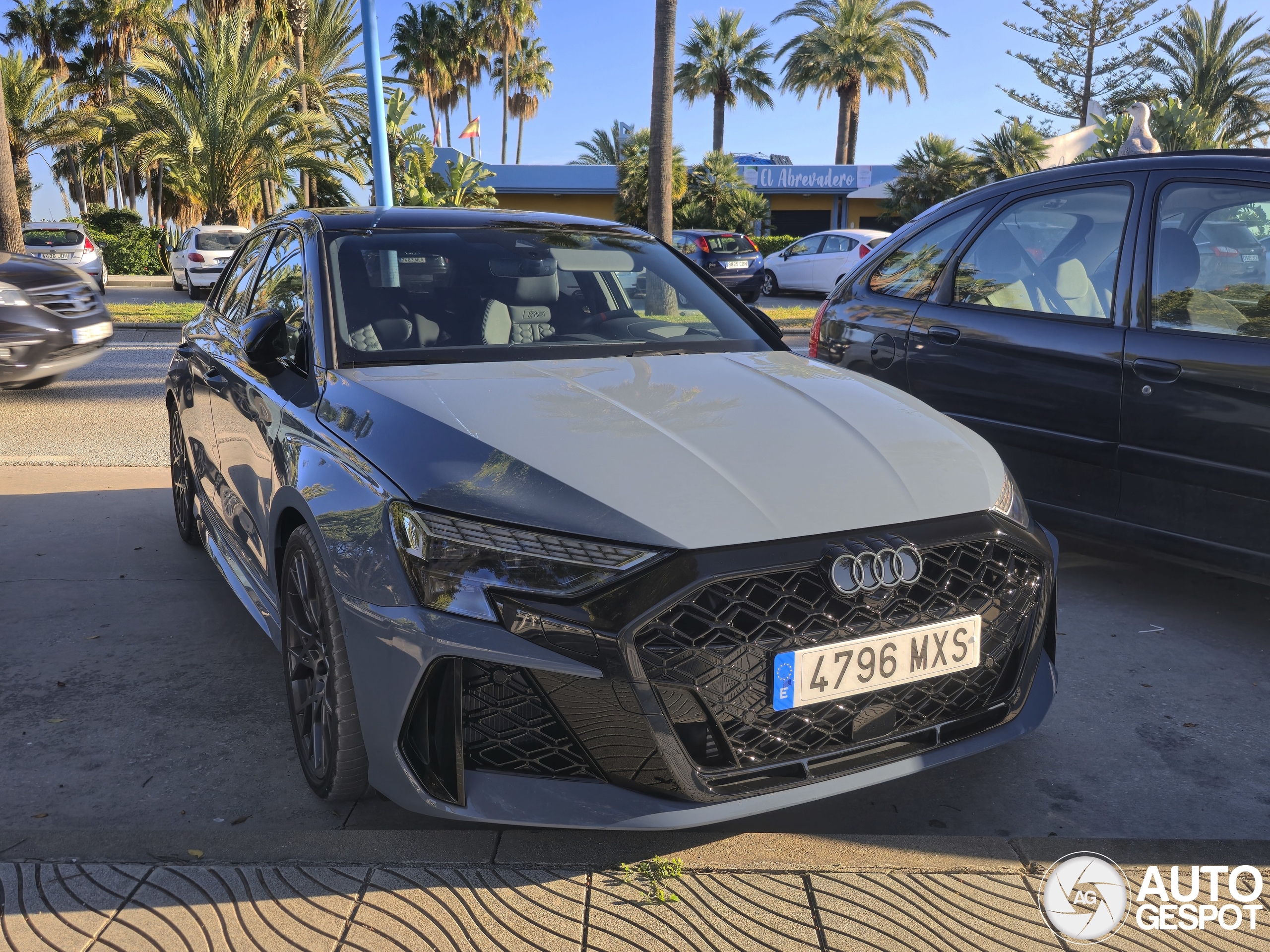 Audi RS3 Sportback 8Y 2025