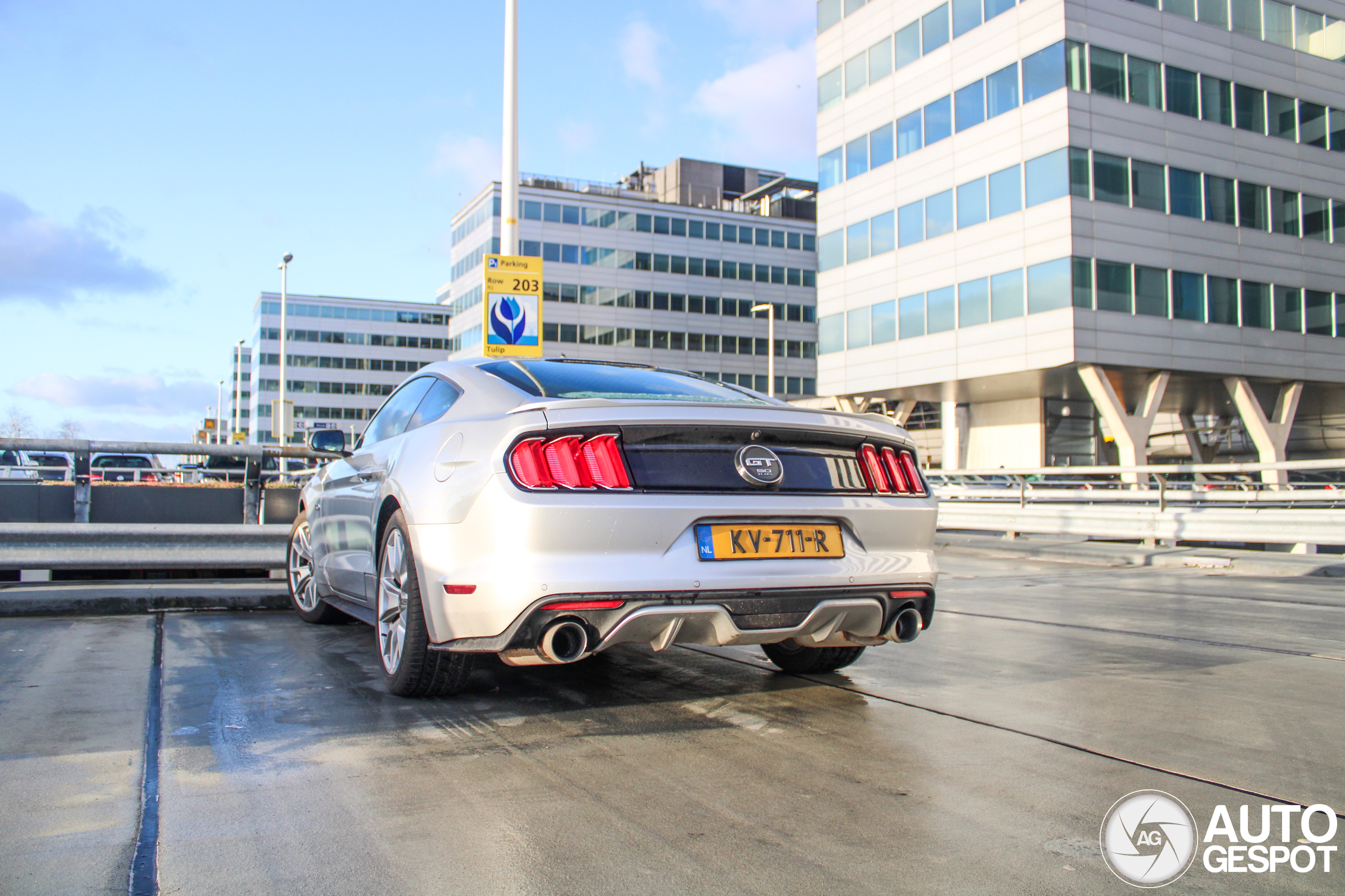 Ford Mustang GT 50th Anniversary Edition