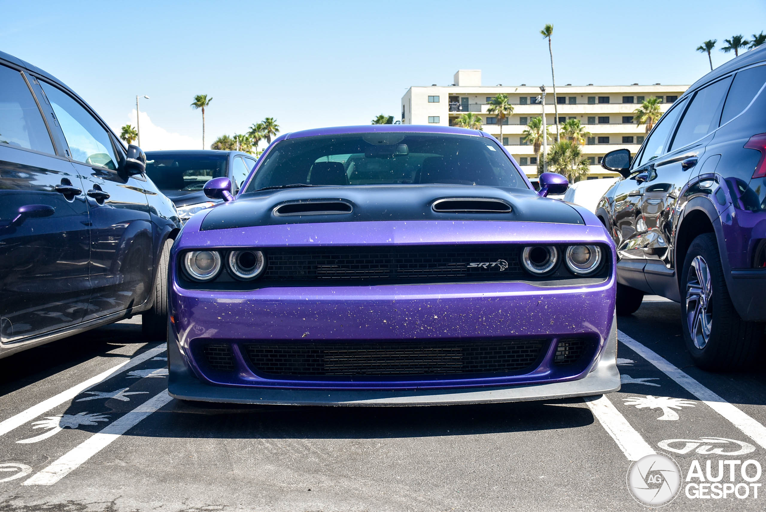 Used Purple Dodge Challenger SRT Hellcat Redeye Widebody For Sale in Used Purple Dodge Challenger SRT Hellcat Redeye Widebody For Sale in
