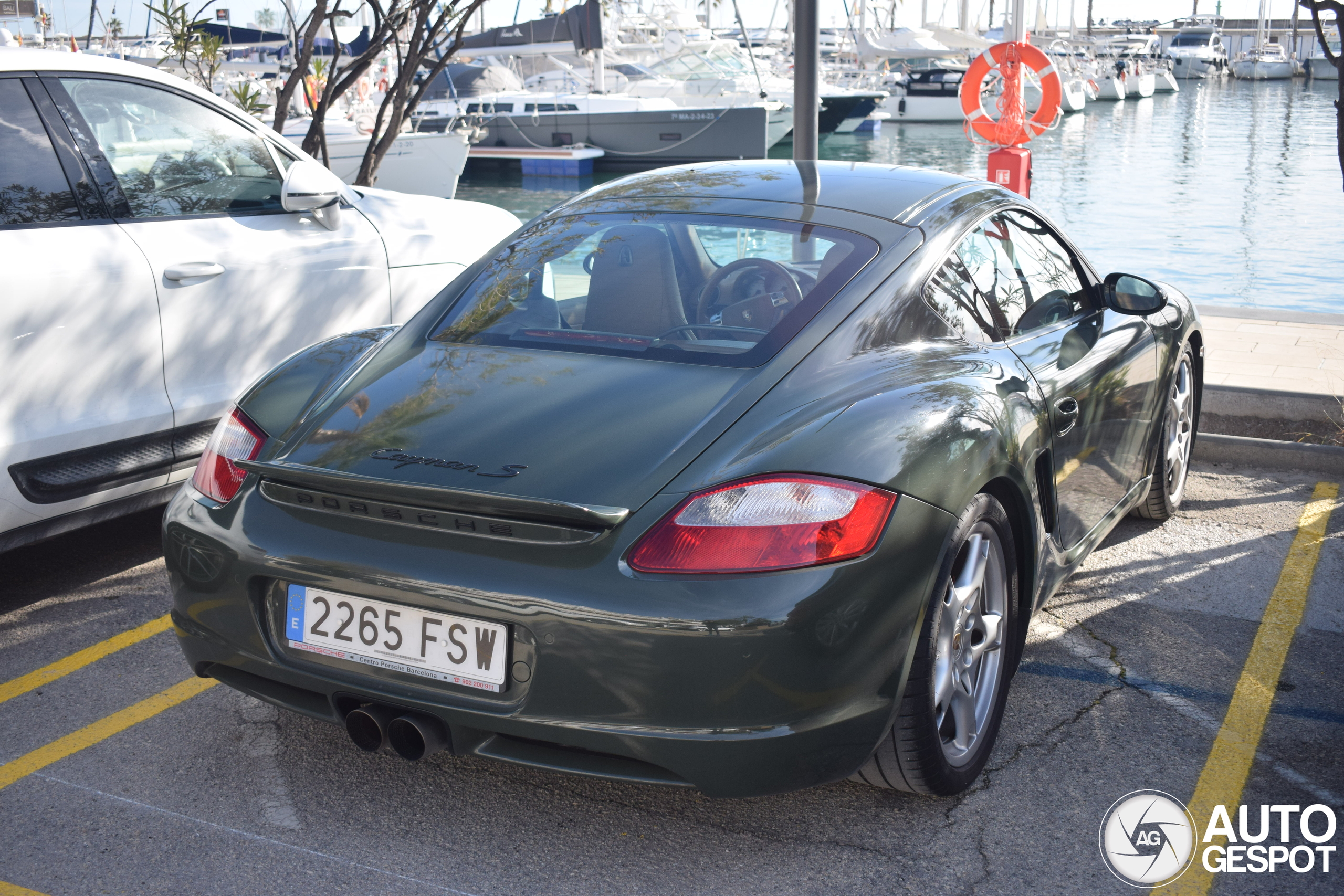 Porsche 987 Cayman S