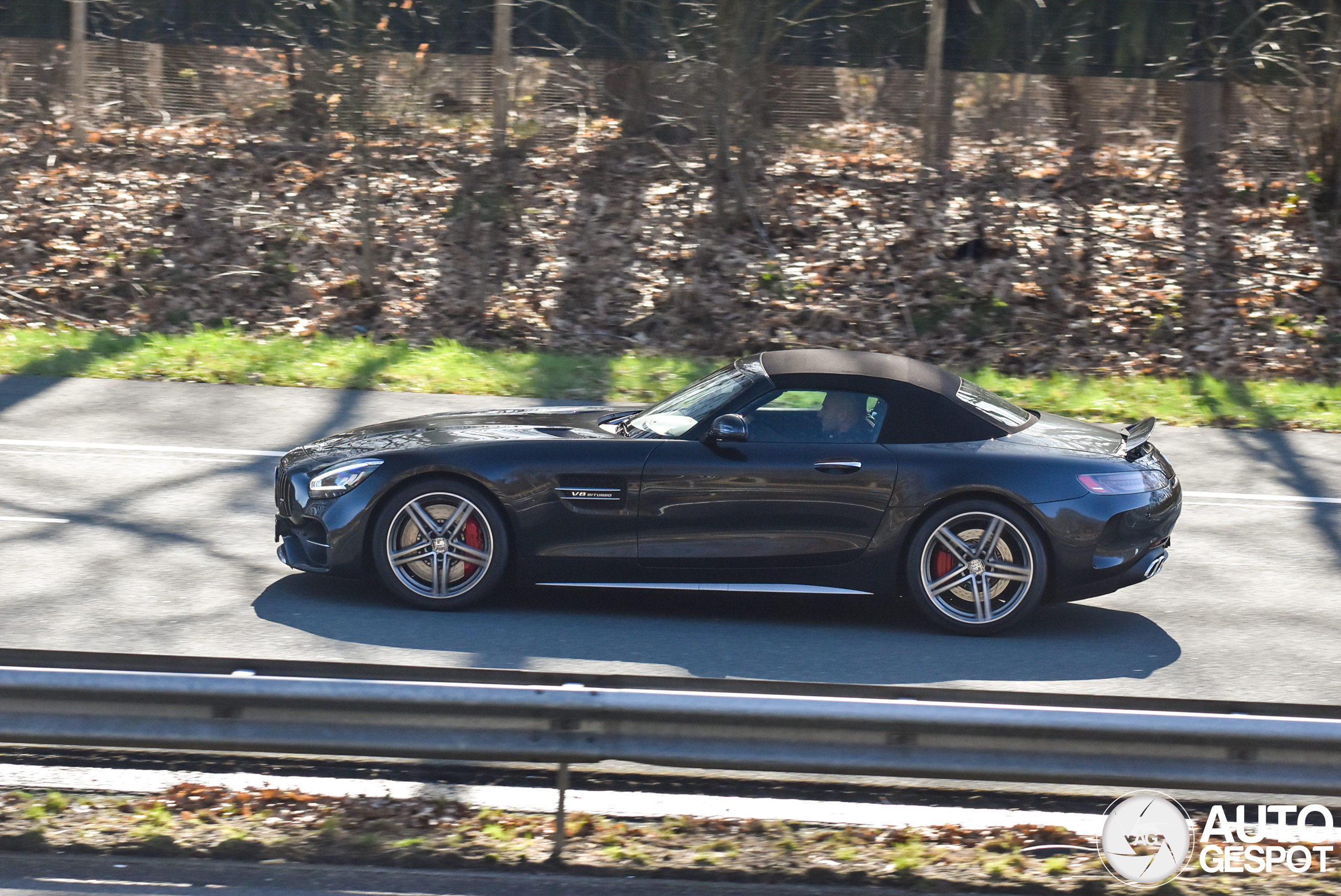 Mercedes-AMG GT C Roadster R190 2019