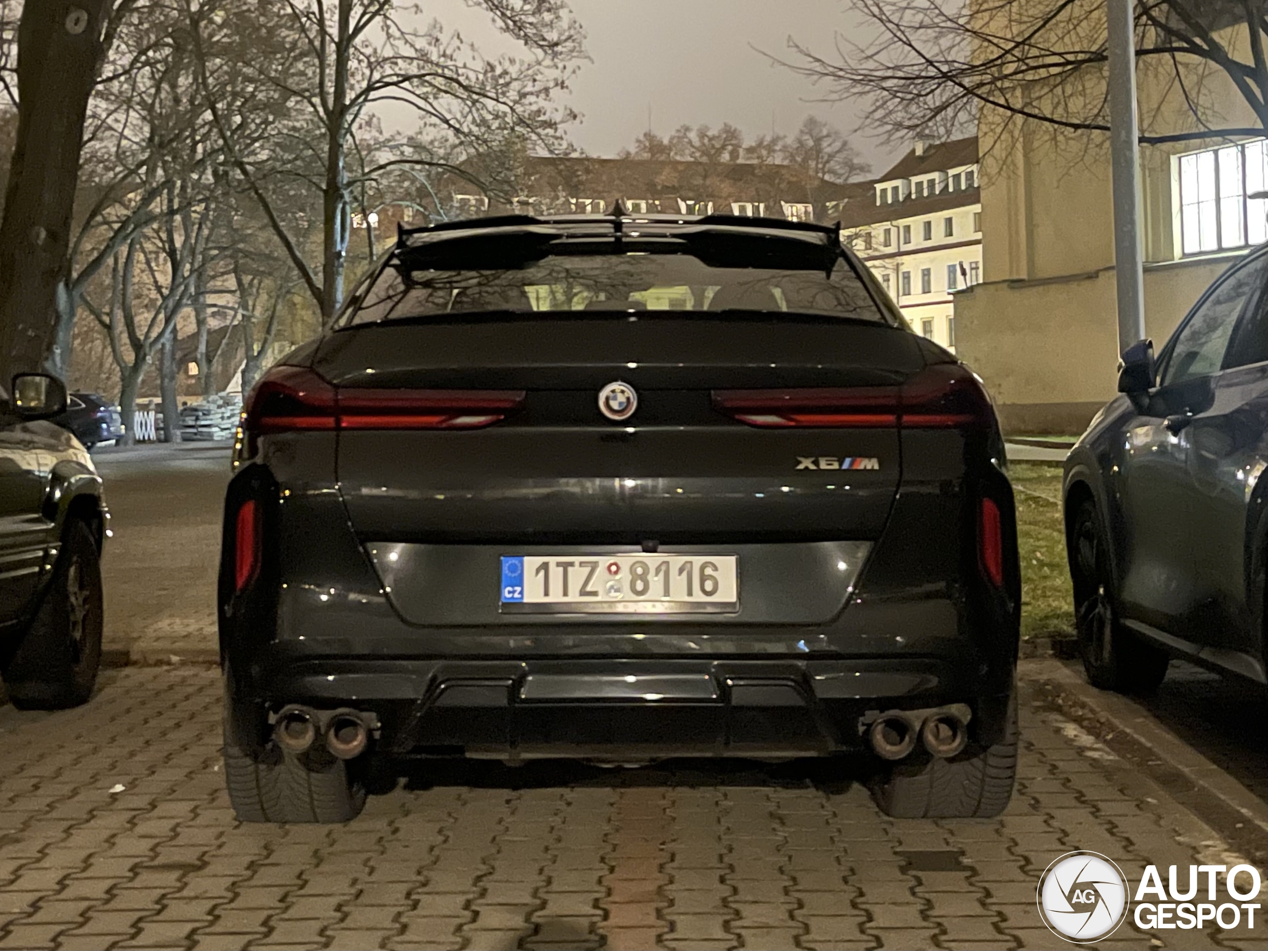 BMW X6 M F96