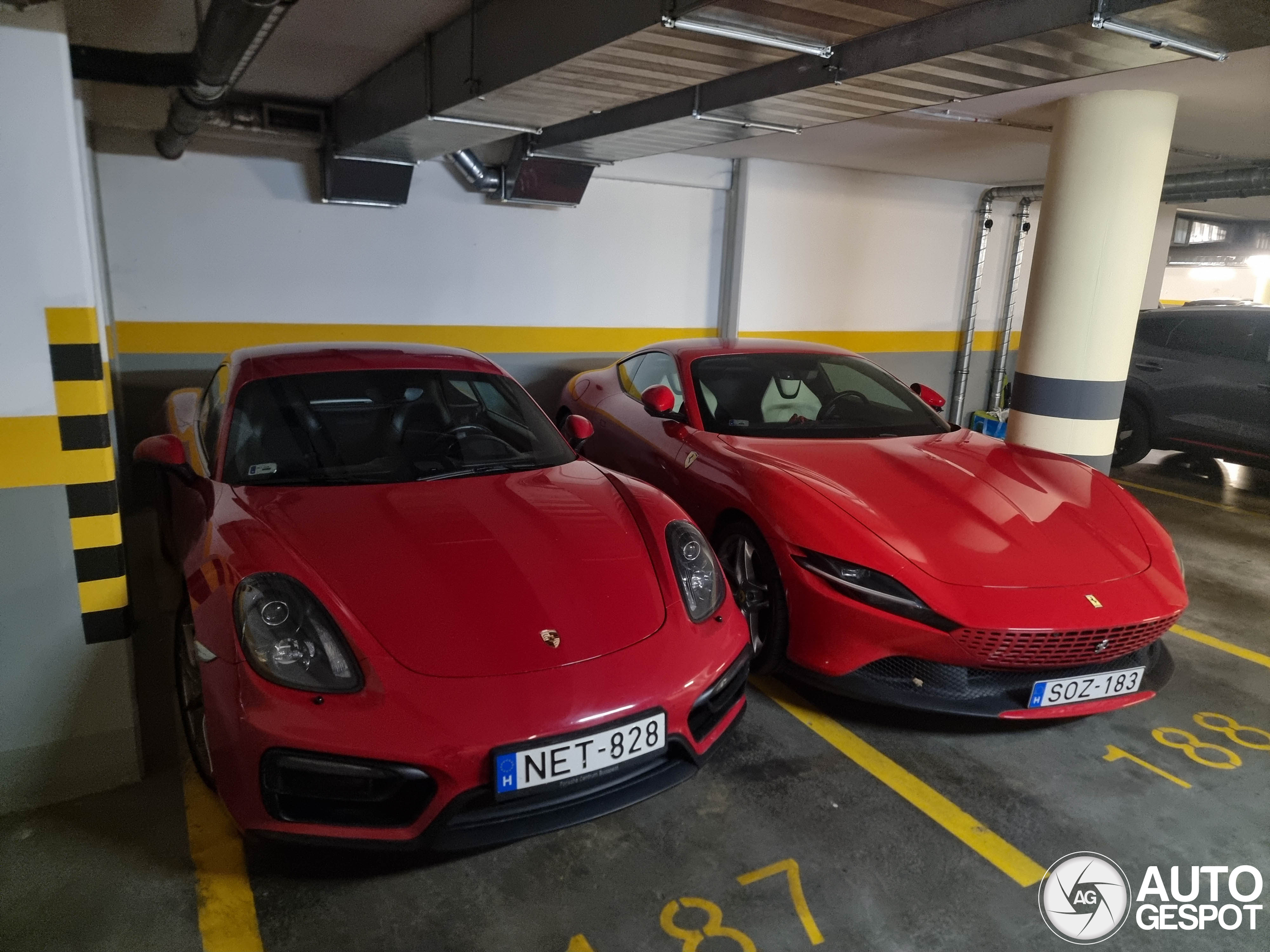 Porsche 981 Cayman GTS