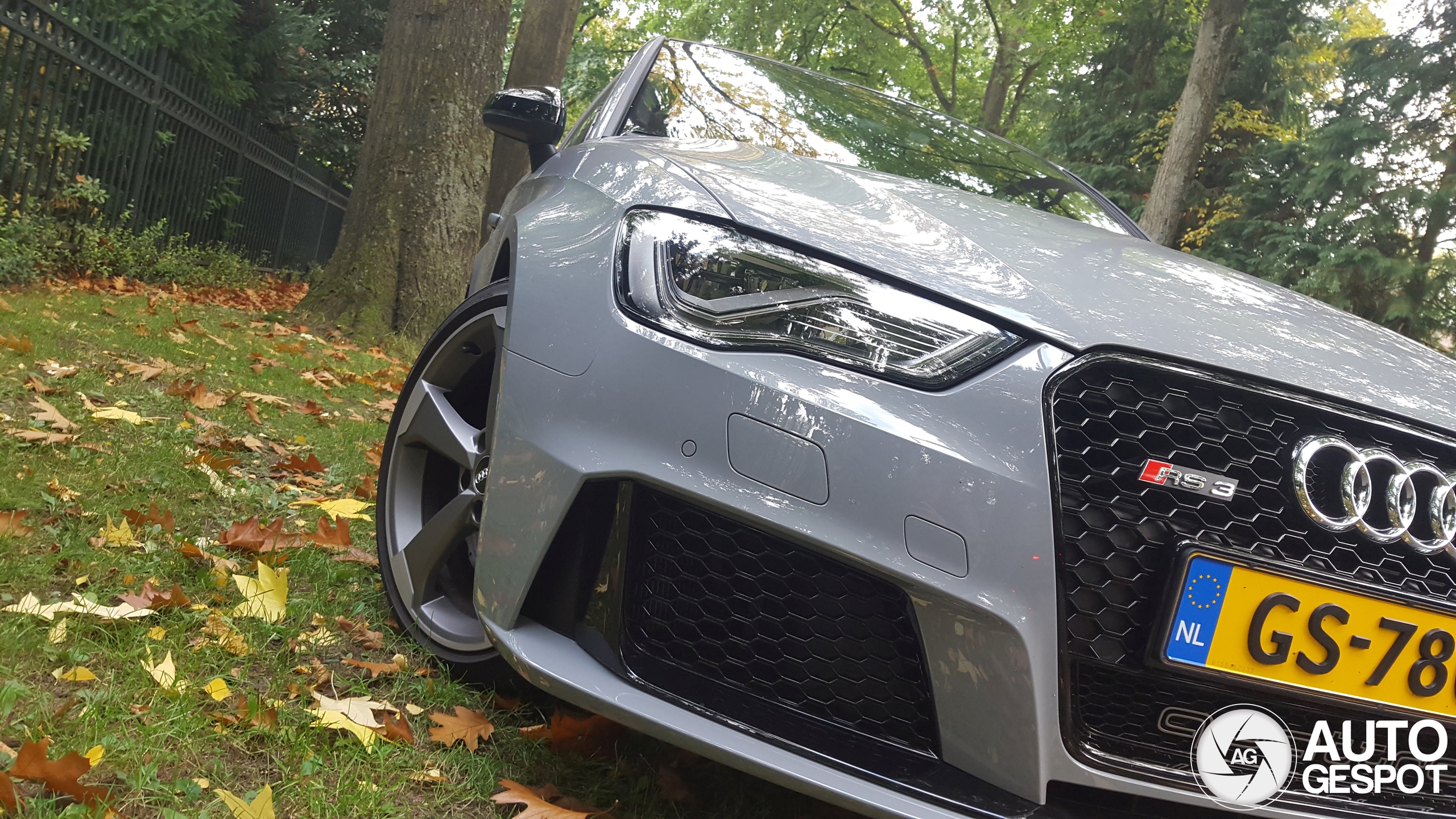 Audi RS3 Sportback 8V
