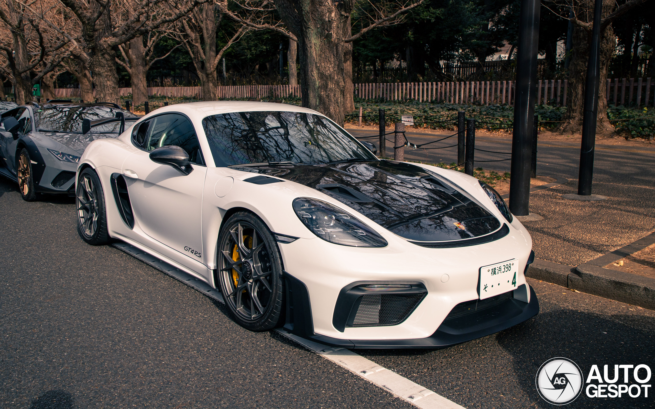 Porsche 718 Cayman GT4 RS Weissach Package