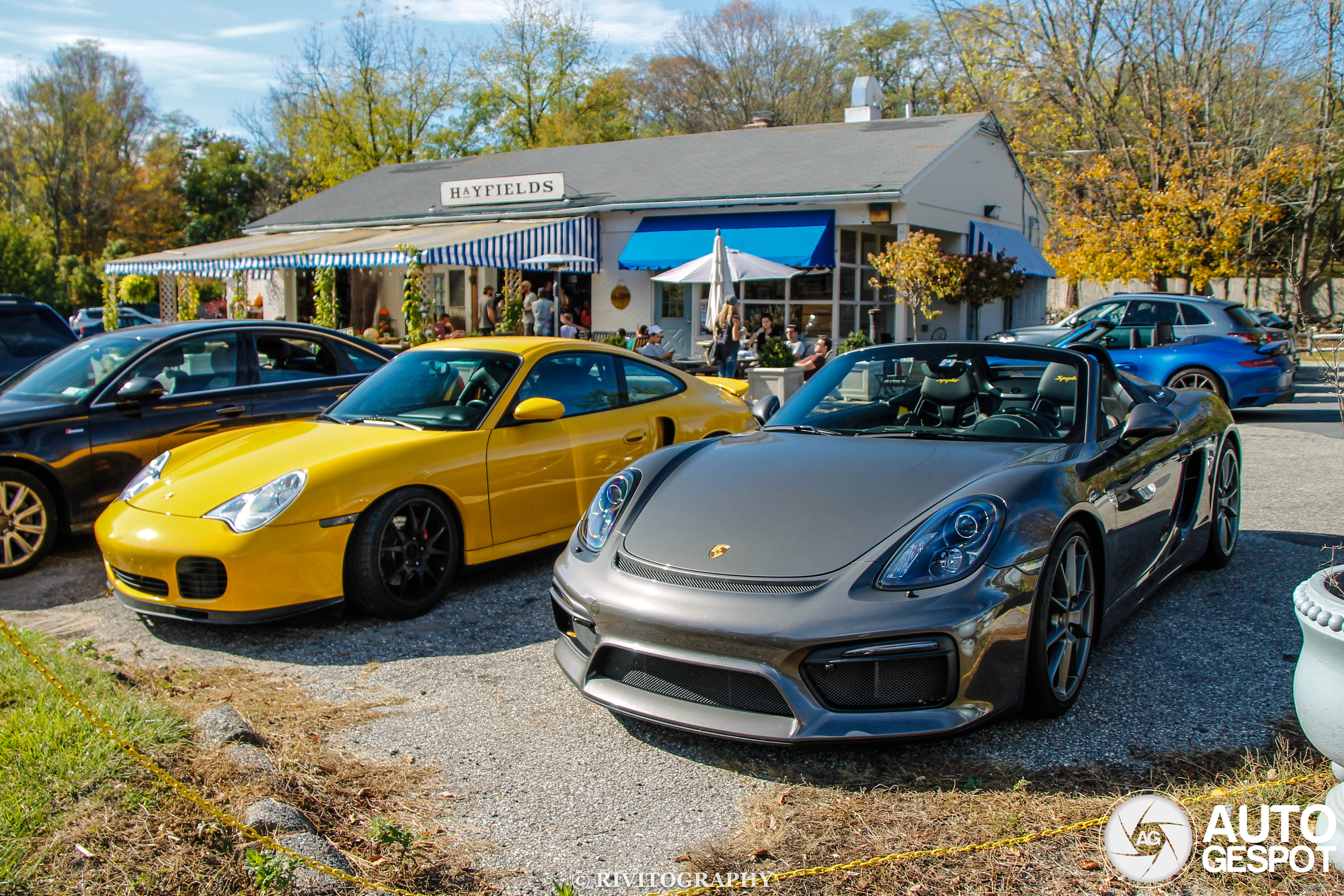 Porsche 981 Boxster Spyder