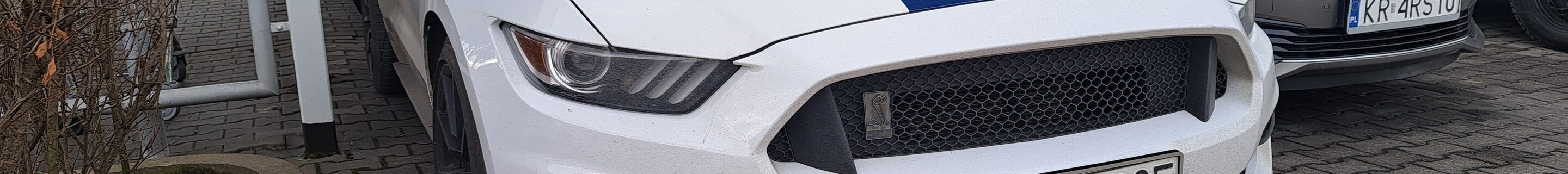 Ford Mustang Shelby GT350 2015