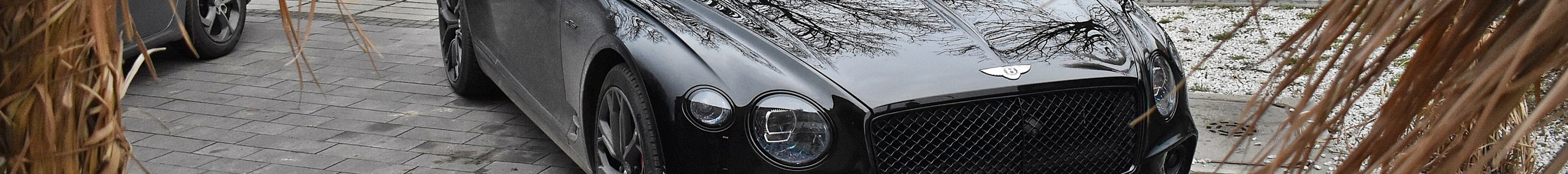 Bentley Continental GT Speed 2021