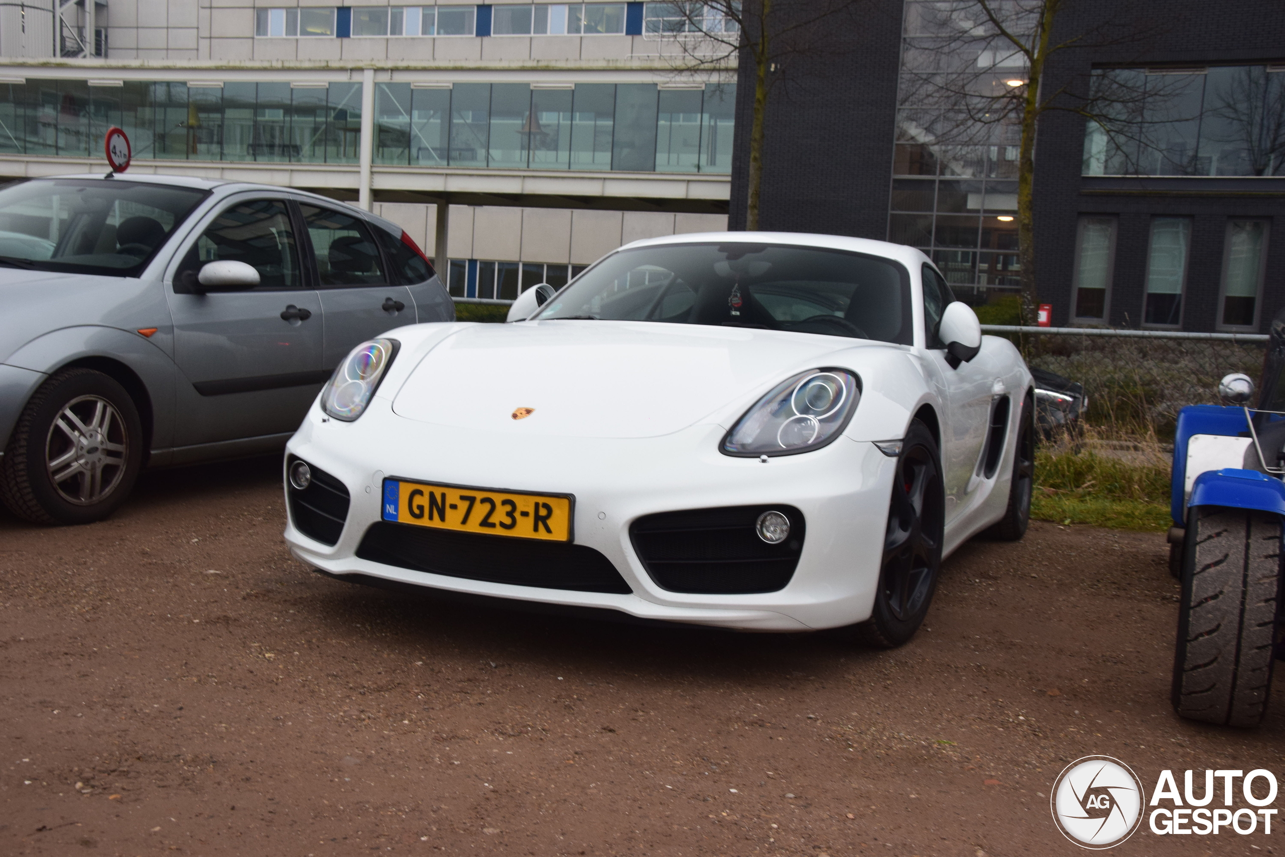 Porsche 981 Cayman S