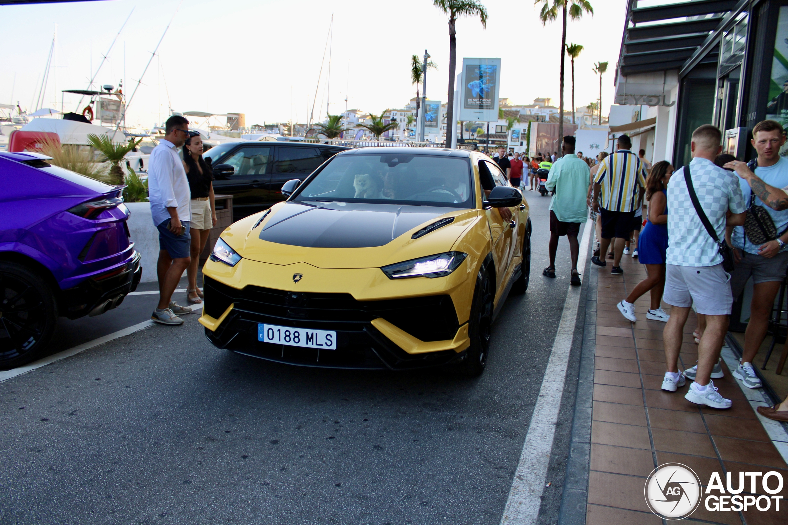 Lamborghini Urus Performante