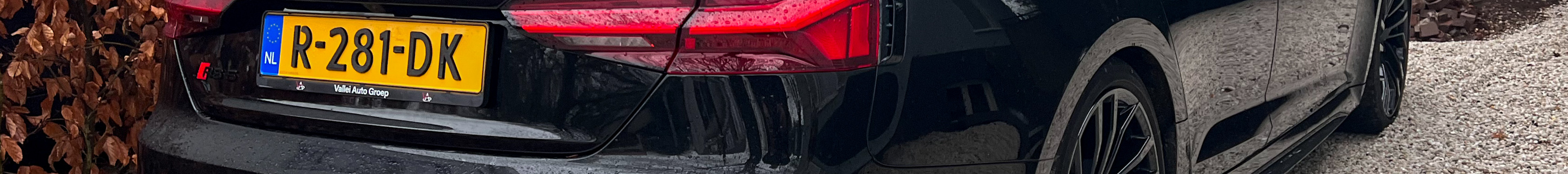 Audi RS5 Sportback B9 2021