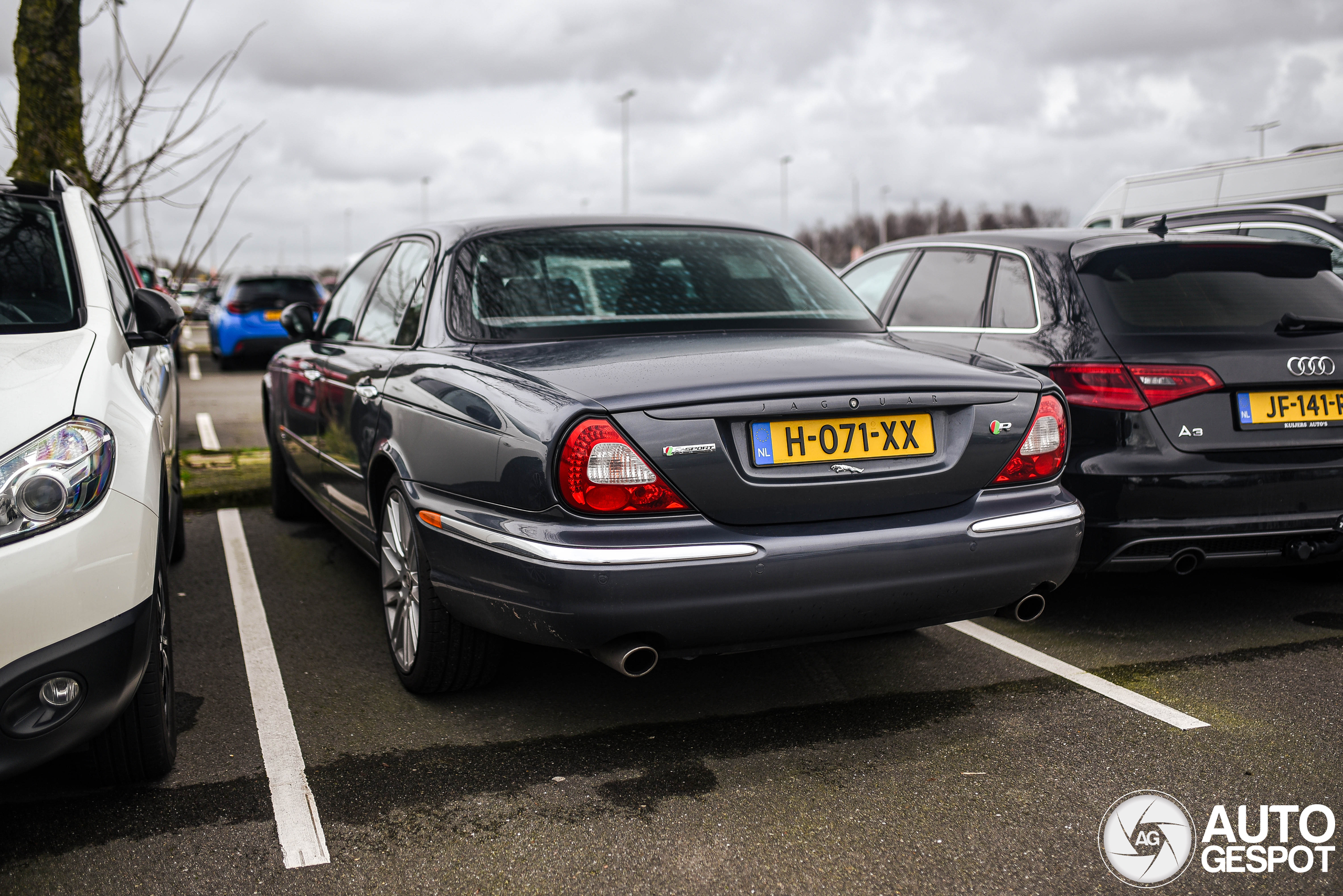 Jaguar XJR
