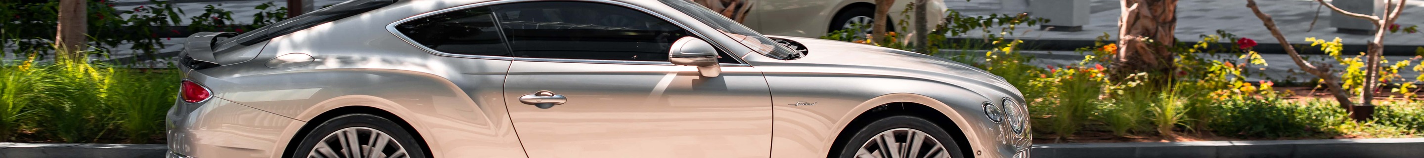 Bentley Continental GT Speed 2021