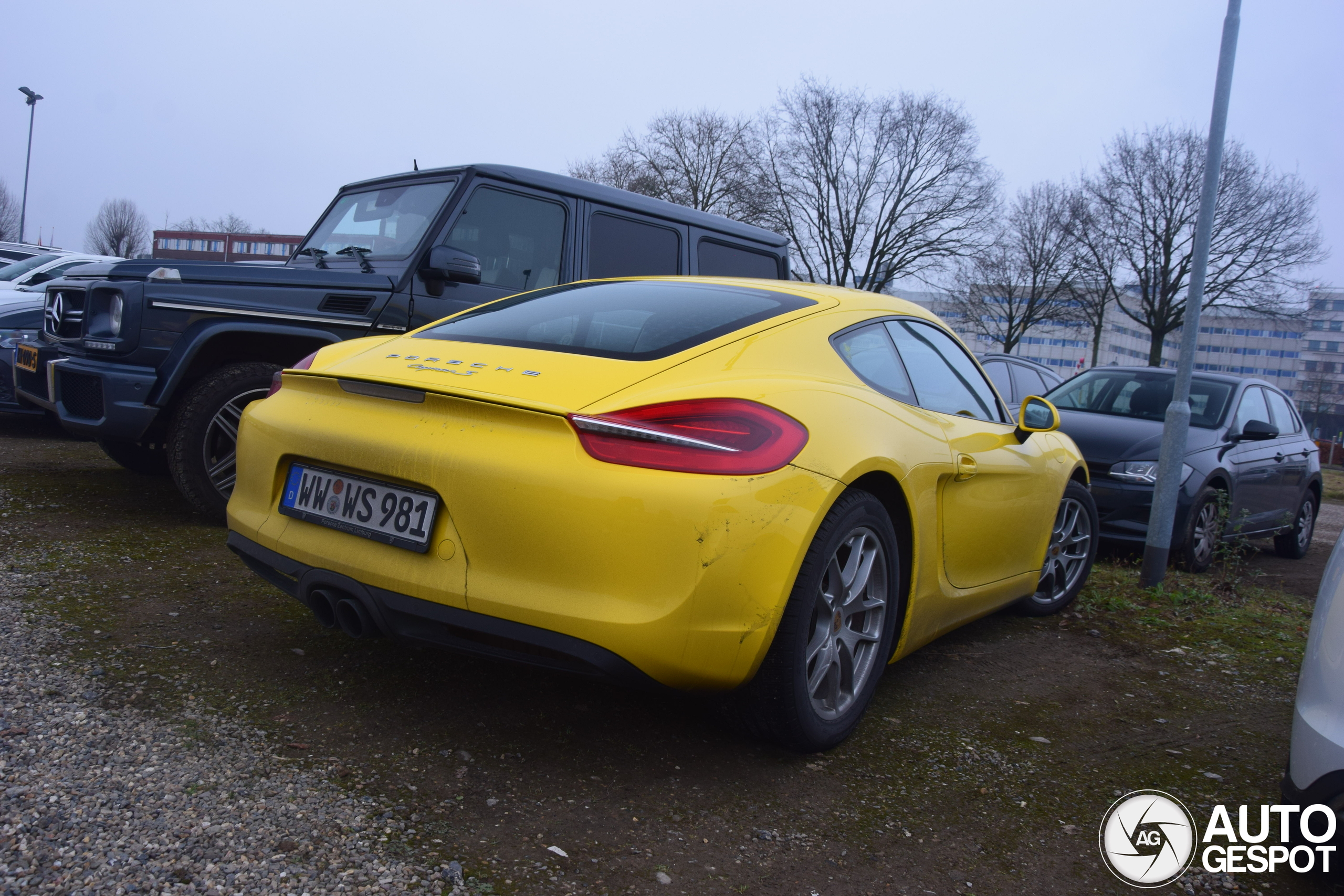 Porsche 981 Cayman S