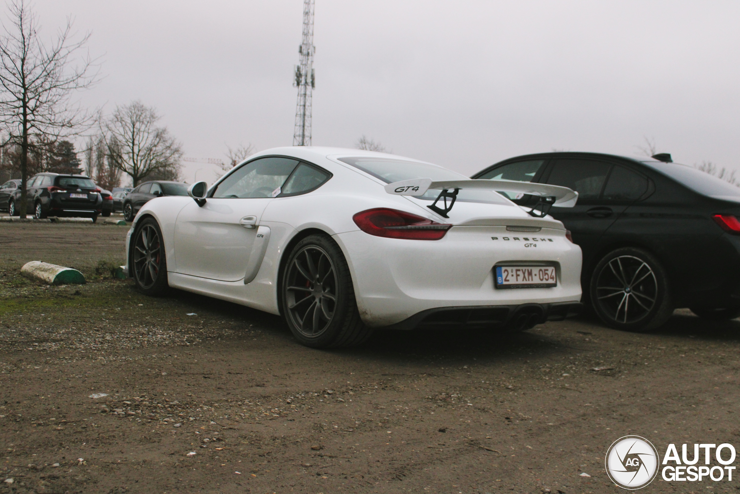 Porsche 981 Cayman GT4