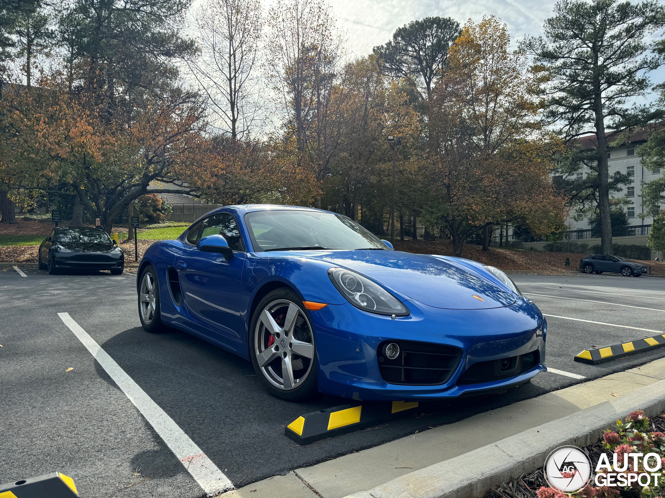 Porsche 981 Cayman S