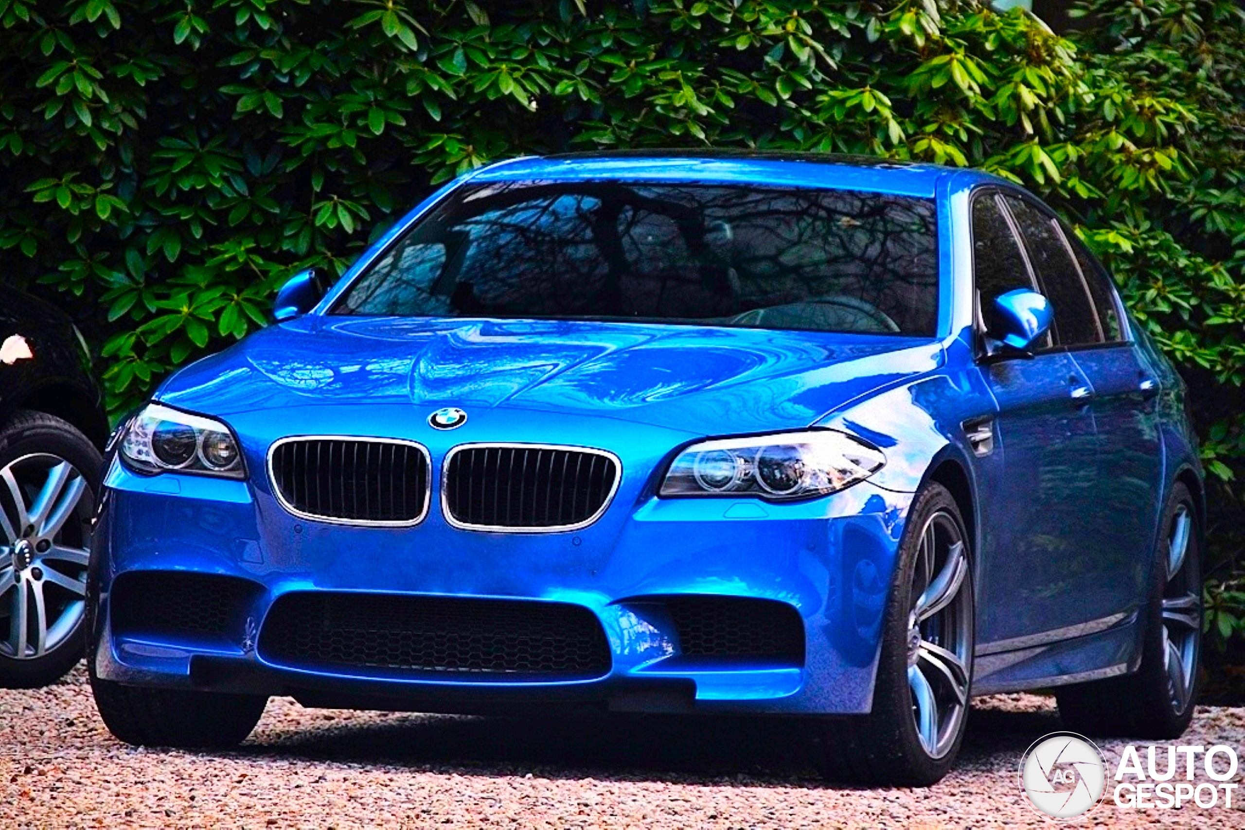 BMW M5 F10 2011