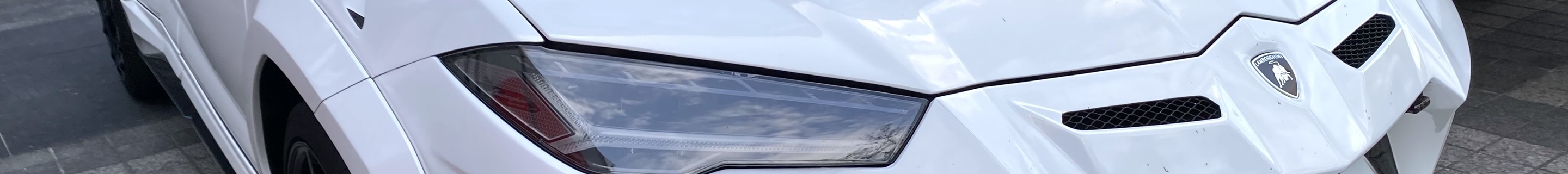 Lamborghini Urus Mansory Venatus