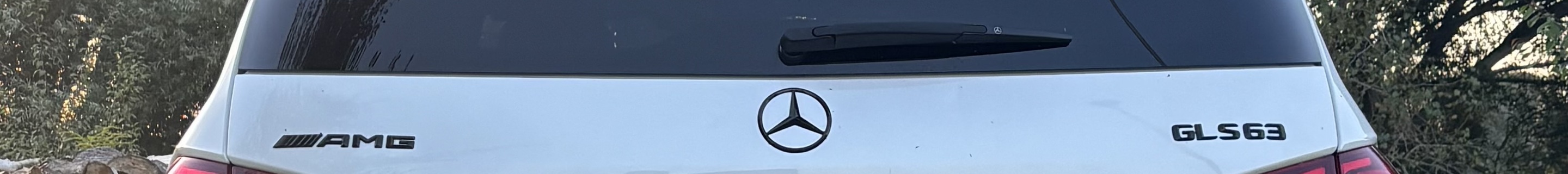 Mercedes-AMG GLS 63 X166