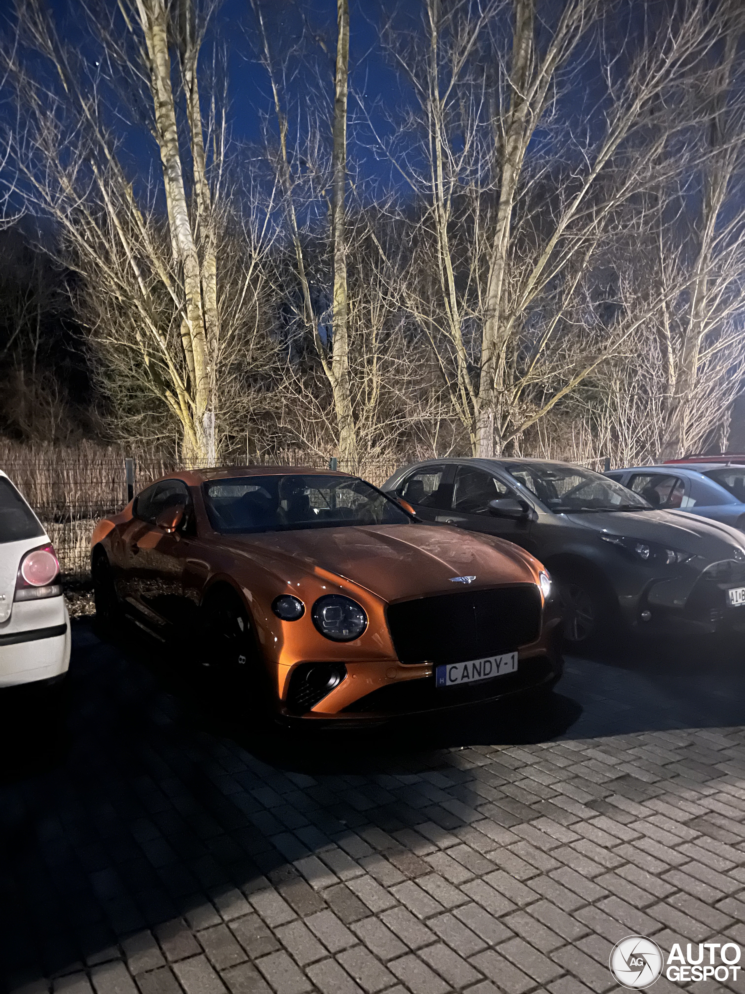 Bentley Continental GT Speed 2021
