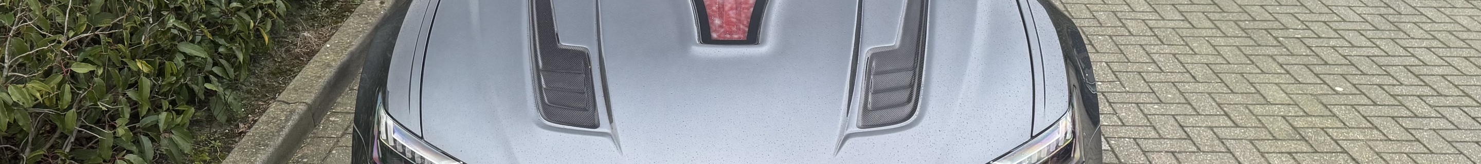 Audi RS6 Avant C8 DarwinPRO