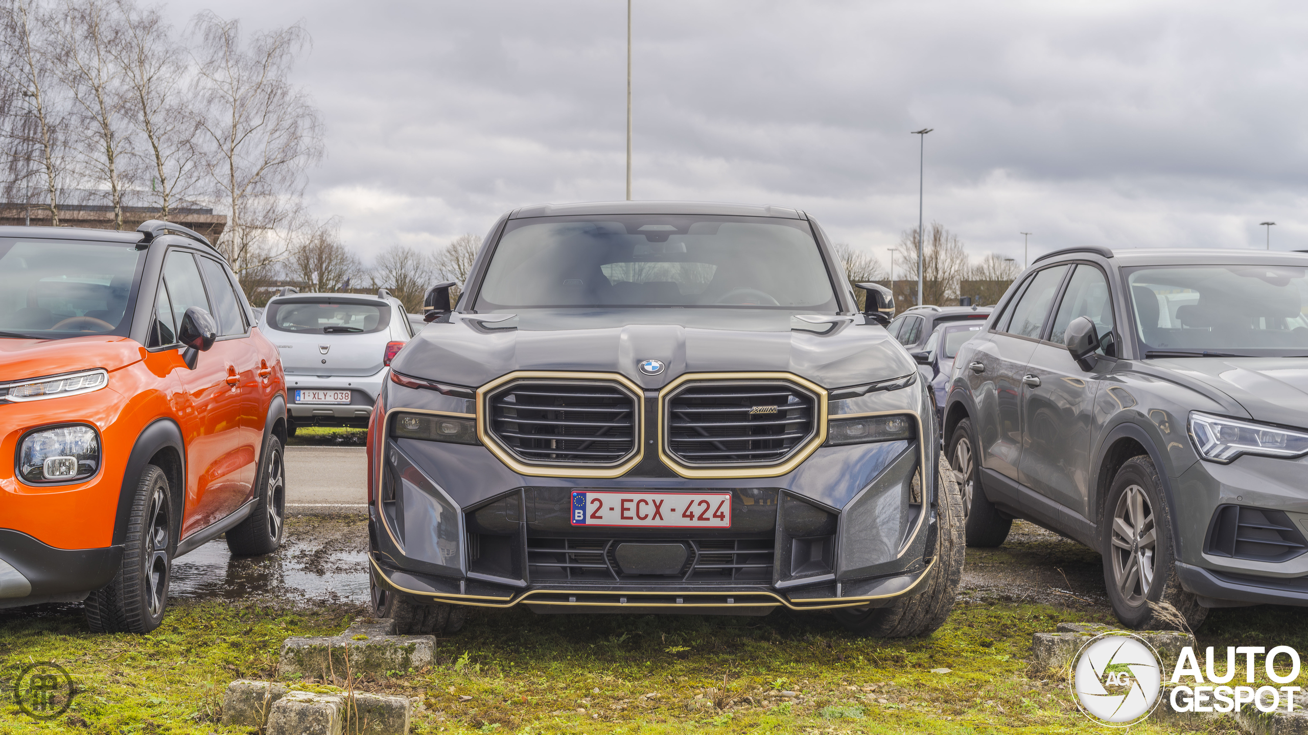 BMW XM G09 Renegade Design