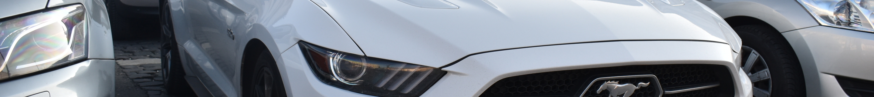 Ford Mustang GT 50th Anniversary Edition