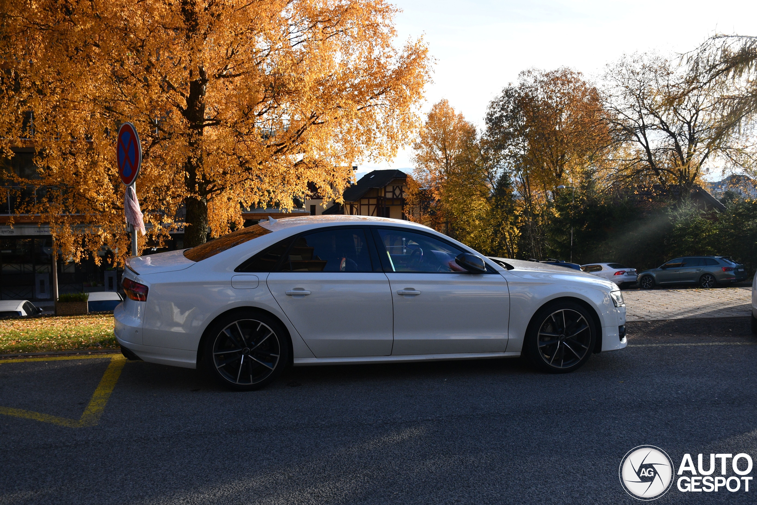 Audi S8 D4 Plus