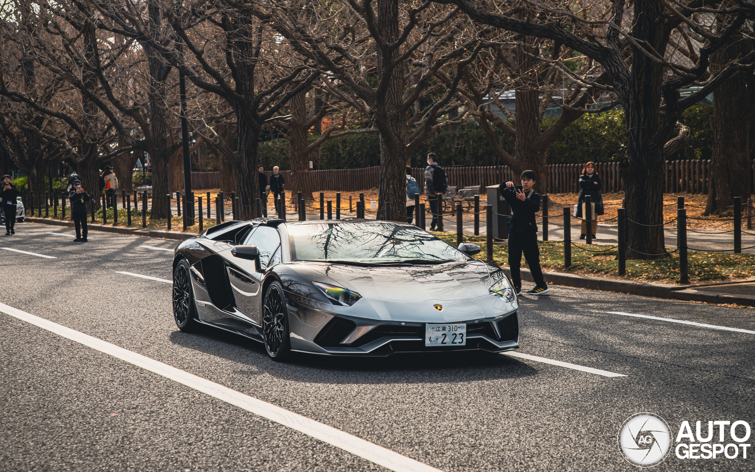 Lamborghini Aventador S LP740-4 Roadster 50th Anniversary