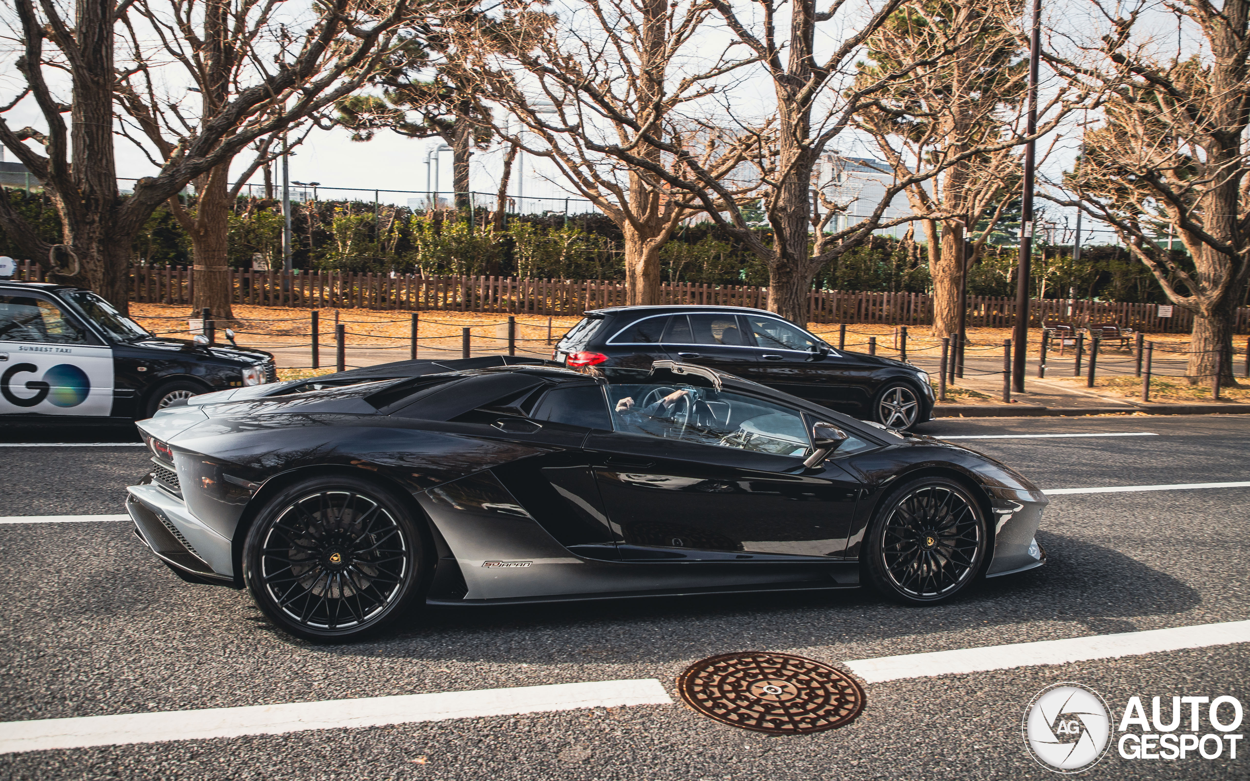 Lamborghini Aventador S LP740-4 Roadster 50th Anniversary