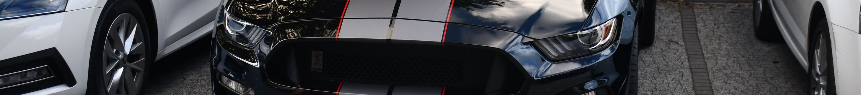 Ford Mustang Shelby GT350 2015
