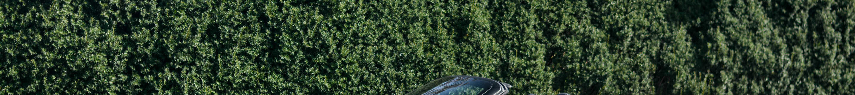 Porsche 991 Speedster