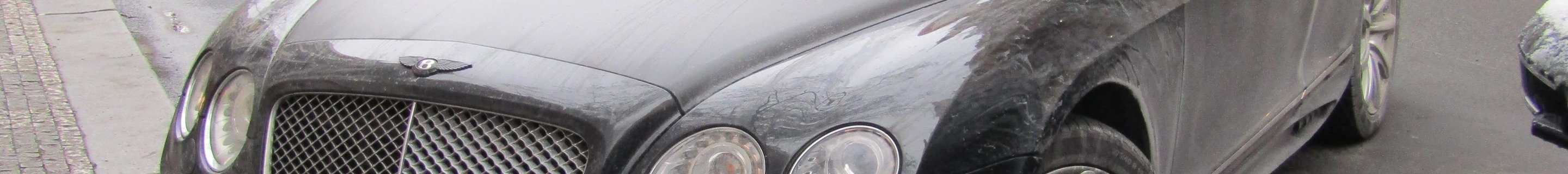 Bentley Wald Continental GT Black Bison Edition