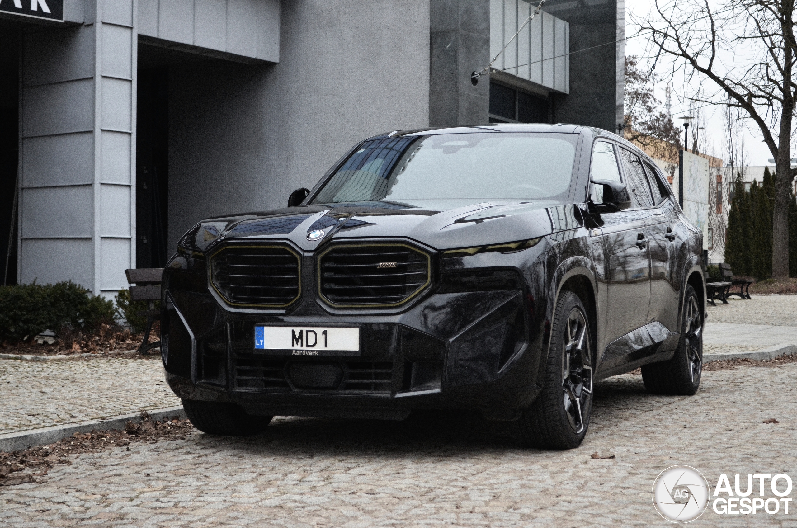 BMW XM G09