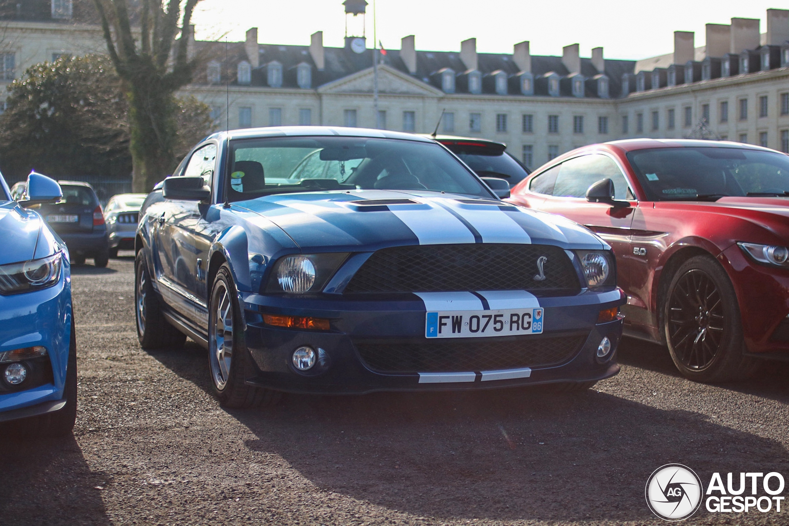 Ford Mustang Shelby GT500