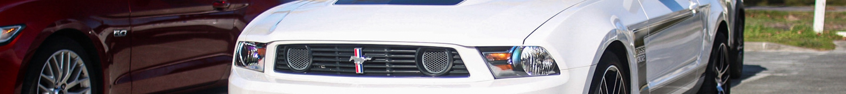 Ford Mustang Boss 302 2010