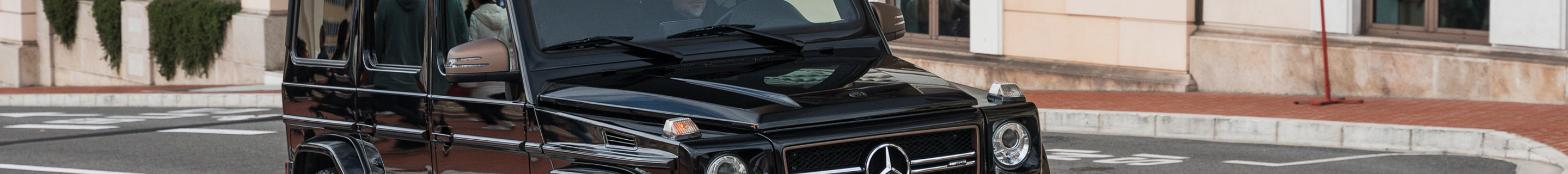 Mercedes-AMG G 65 2016 Final Edition