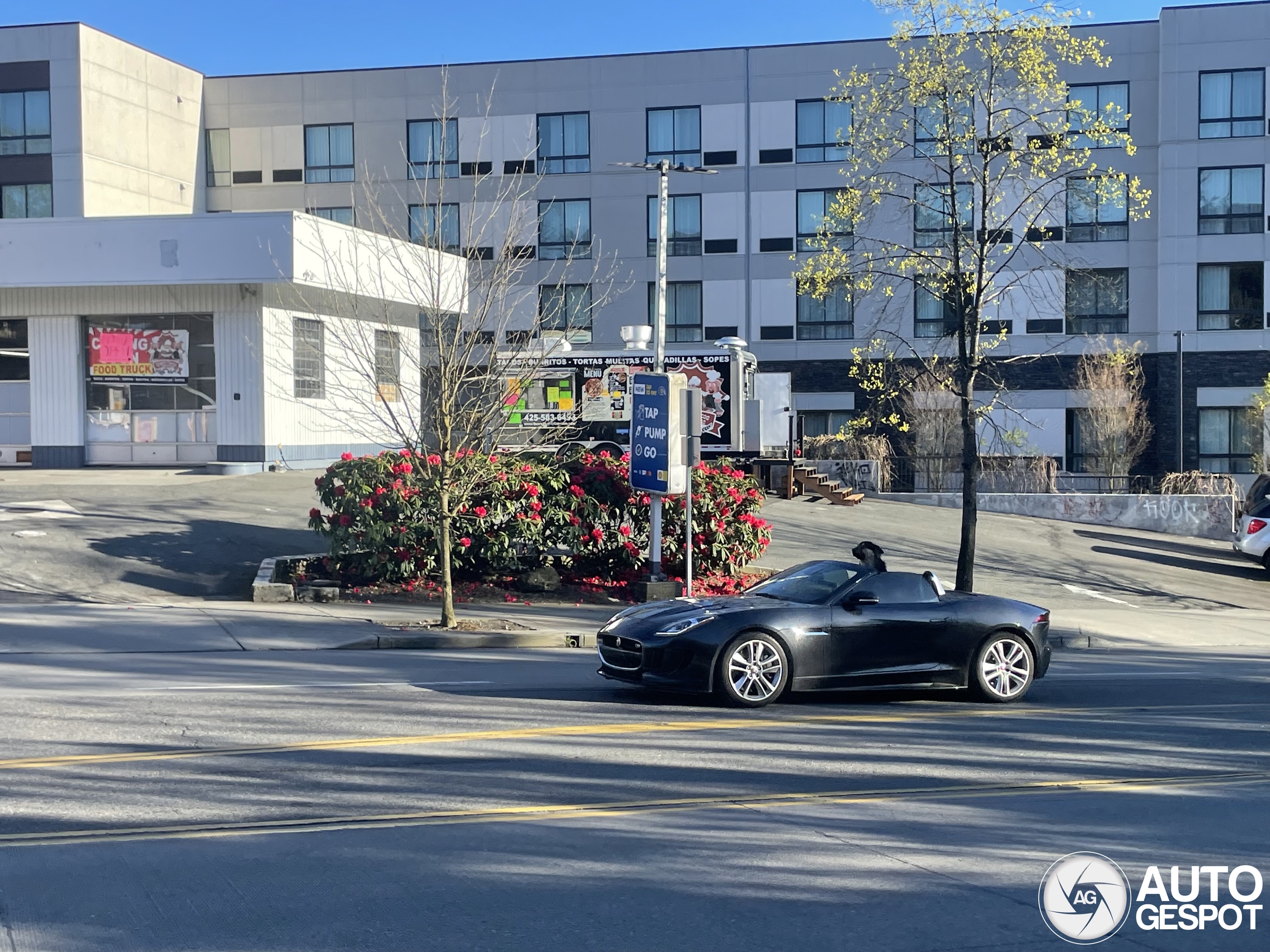 Jaguar F-TYPE S Convertible