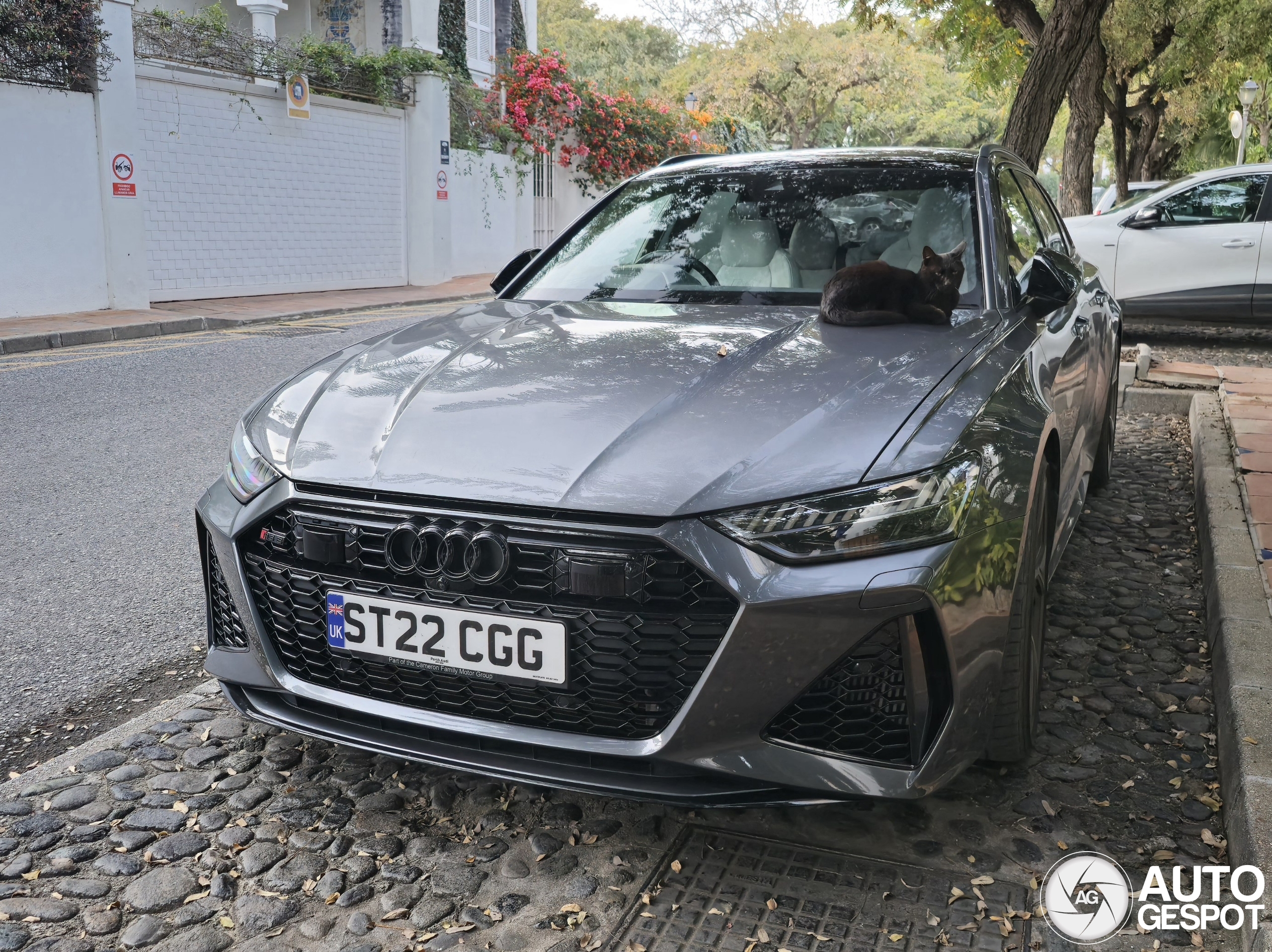 Audi RS6 Avant C8