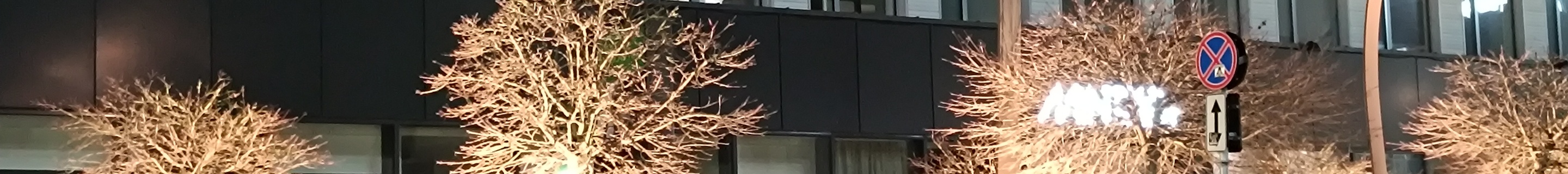 Bentley Continental GT Speed 2025 First Edition