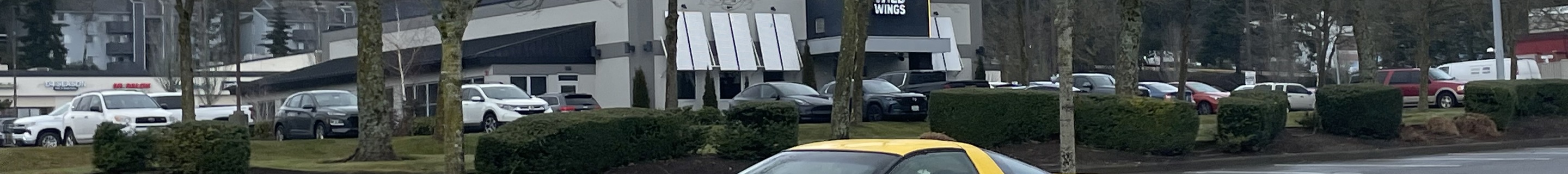 Chevrolet Corvette C5