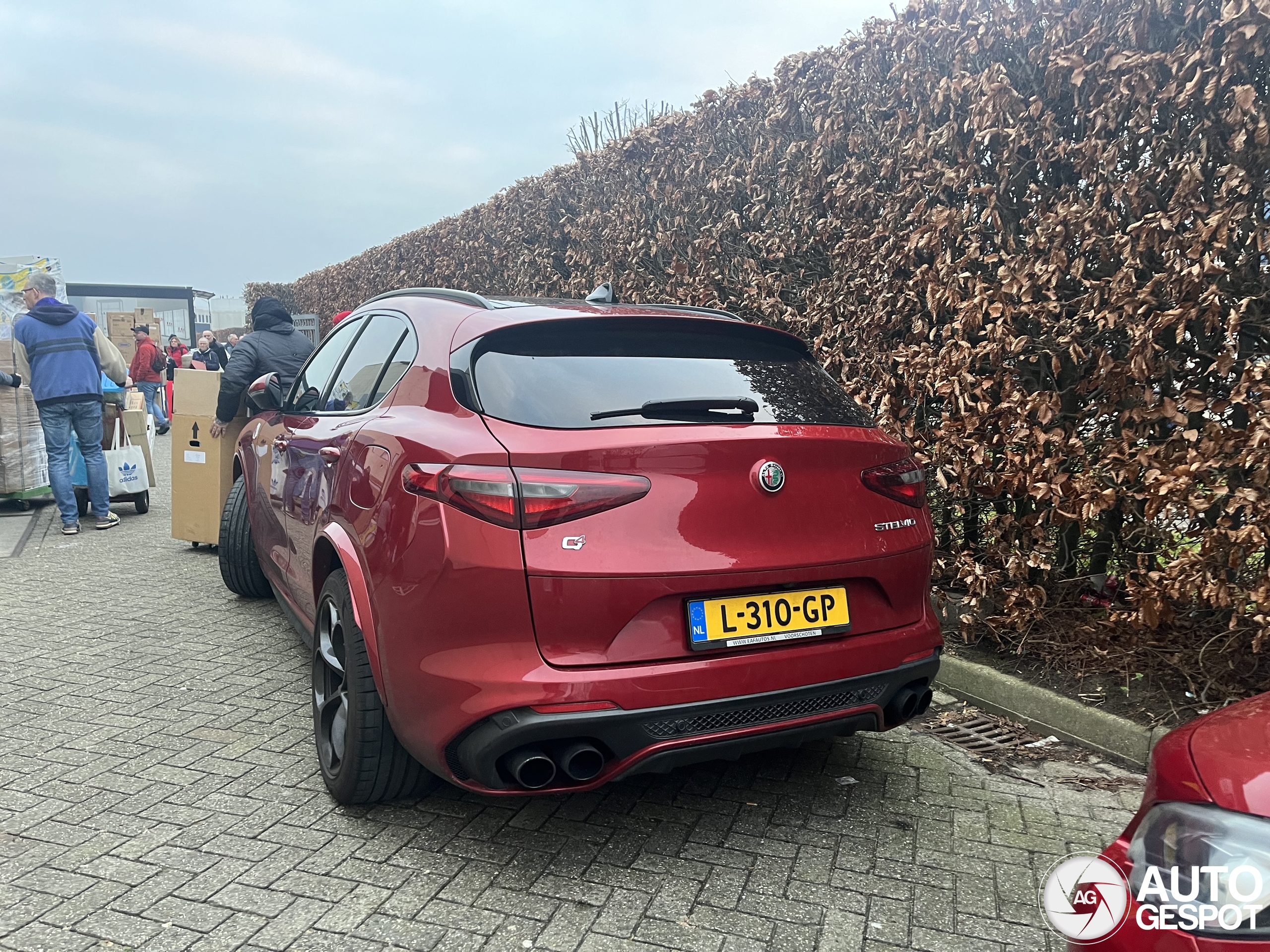 Alfa Romeo Stelvio Quadrifoglio