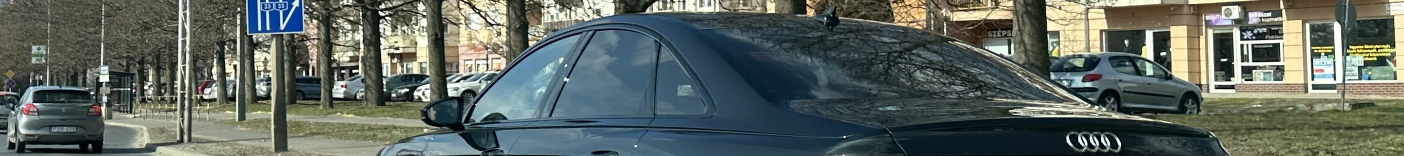 Audi S8 D5 2022