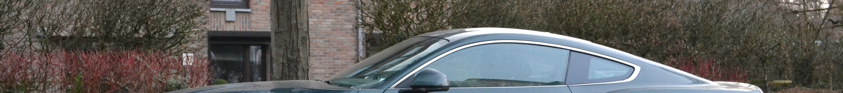 Ford Mustang Bullitt 2019