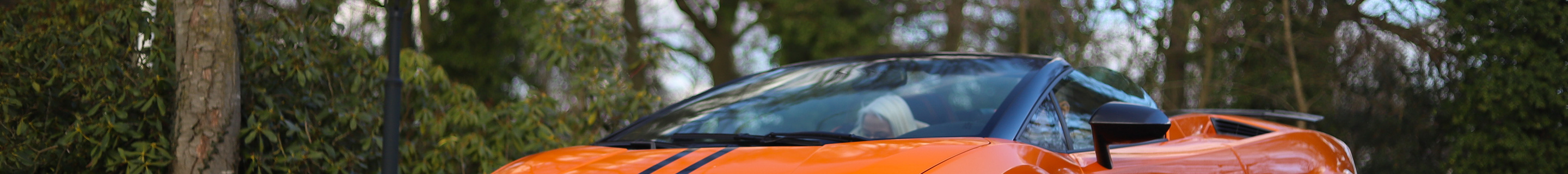 Lamborghini Gallardo LP570-4 Spyder Performante