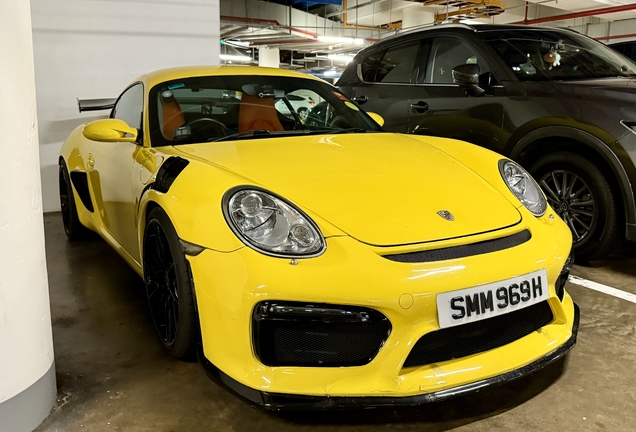 Porsche 987 Cayman S