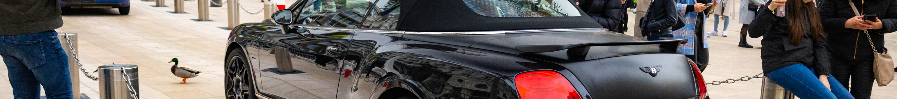 Bentley Continental GTC Hamann Imperator