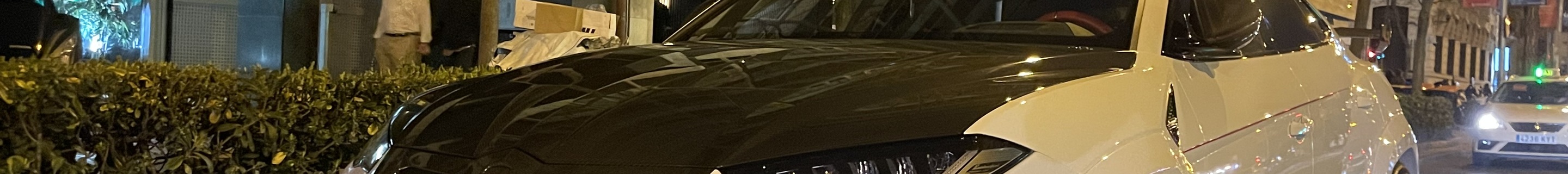 Lamborghini Urus Mansory Venatus